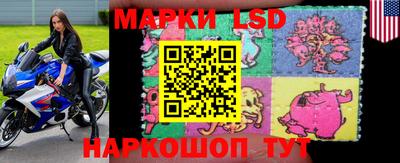 мяу мяу мука Донской