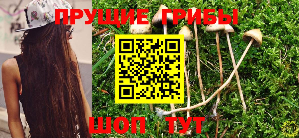 Галлюциногенные грибы MAGIC MUSHROOMS Ухта